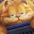 Garf-shop